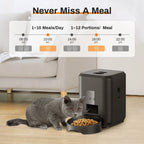 Smart Pet Feeder Automatic Cat Feeder Dog Slow Food Machine with