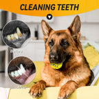 Dog Toy Ball Solid Bite Resistant Small Large Dog Toys E-TPU High