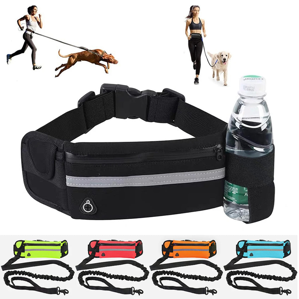 Adjustable Hands-Free Bungee Dog Leash
