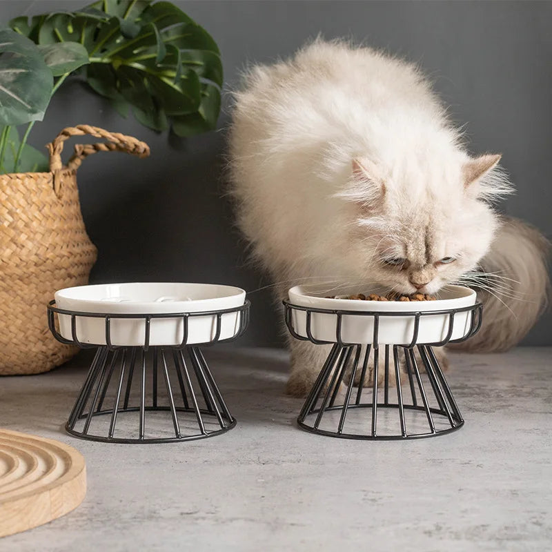 Elevated Ceramic Slow Feeder Bowl for Dogs Cats, Anti-Choking Maze