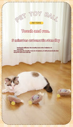 Cat Toys Intelligent Automatic Teasing Ball Silent Irregular