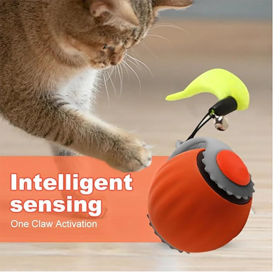 Interactive Cat Toy Ball Automatic Rolling Pet Toy USB