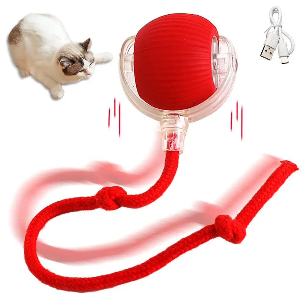 Cat Interactive Ball Toys Automatic Rolling Ball Faux Tail