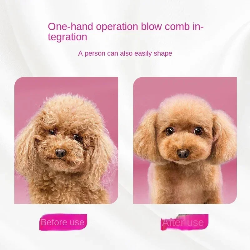 Pet Hair Dryer Dog Grooming Golden Retriever Hairdressing Dog