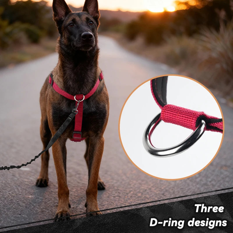 No-PUll Dog Harness for Large Dogs Outdoor Training