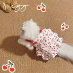 Pet Dress for Dogs & Cats - Layered Cake Style Printed Clothes
