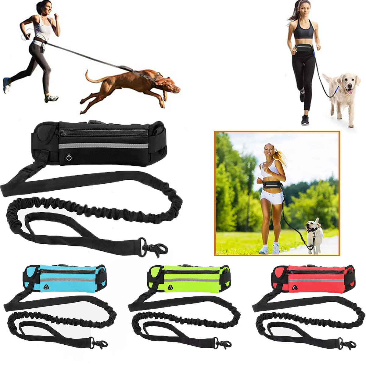 Adjustable Hands-Free Bungee Dog Leash