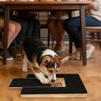 Wooden Dog Cat Nail Scratch Board with Built in Treat Box PUll Out