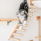Cat Climbing Stairs Wall Mounted Steps Made of Wood and Sisal Rope