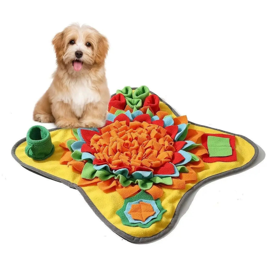 Forage & Focus Snuffle Mat