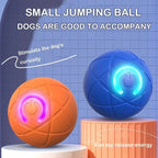 Dog Toy Ball Interactive Rolling Ball Auto Moving Dog Toy Two