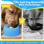 Anti-Choking Slow Feeder Dog Bowl Non-Slip 3/4 Cup - Lick Toy for