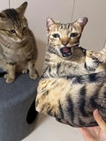 Customizable 3D Pet Pillow