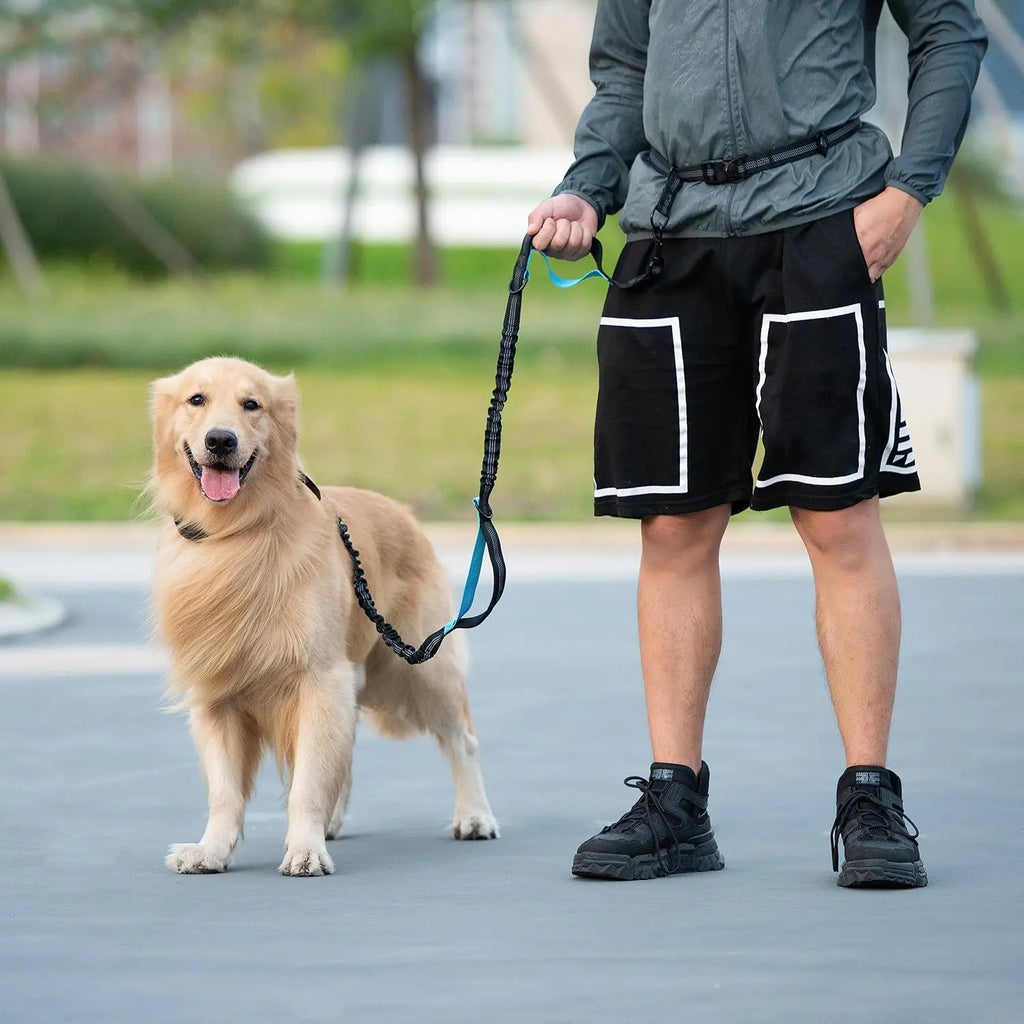 Adjustable Hands-Free Bungee Dog Leash