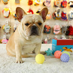 Diameter Pet Dog Ball Toys with Squeak for Small Dogs French