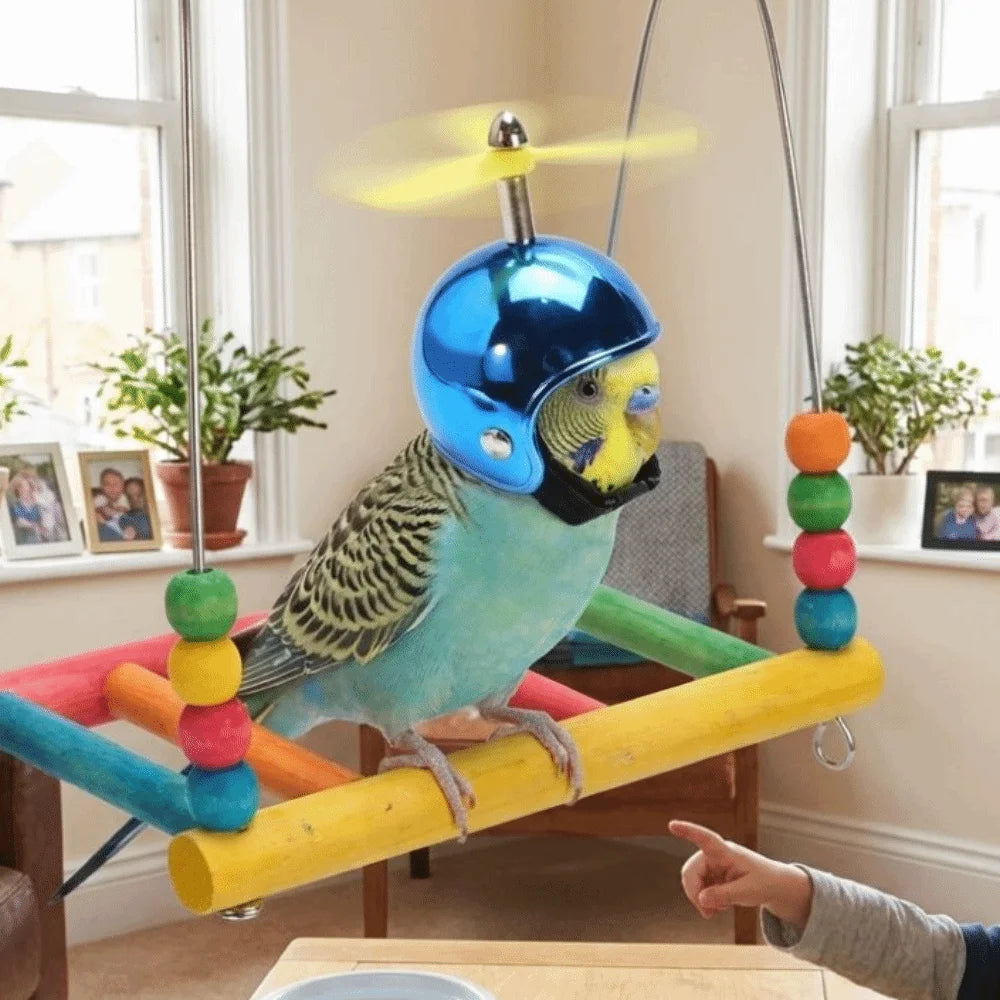 Sun Protection Pet Parrot Safety Helmet Waterproof Motorcycle