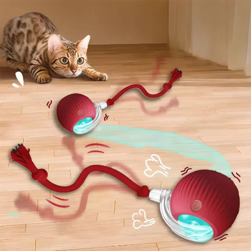 Hot Cat Toys Are Automatically Teasing Cat Balls and Self-Exciting