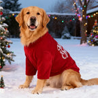 Pet Christmas Clothes Classic Merry Christmas Print Fall Winter