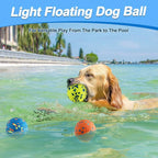 Dog Toy Ball Solid Bite Resistant Small Large Dog Toys E-TPU High