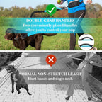Adjustable Hands-Free Bungee Dog Leash