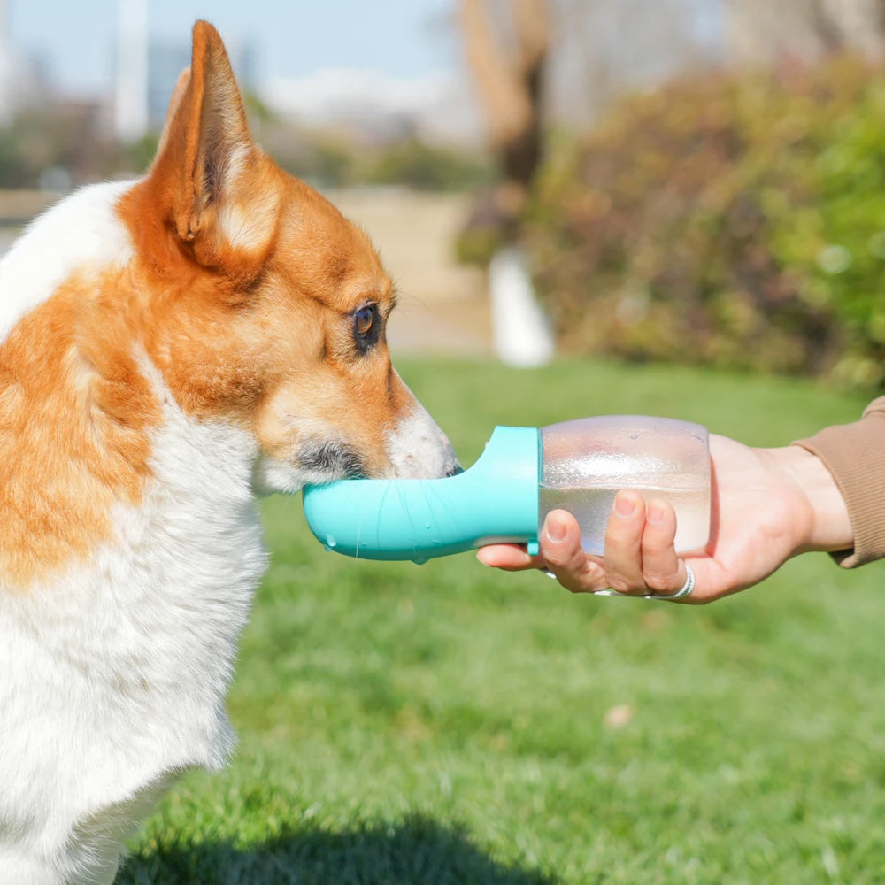 Pet Dog Water Bottle 300Ml Puppy Drinking Bowls For Small Medium