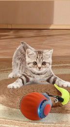 Cat Interactive Ball Toys Automatic Rolling Ball Faux Tail