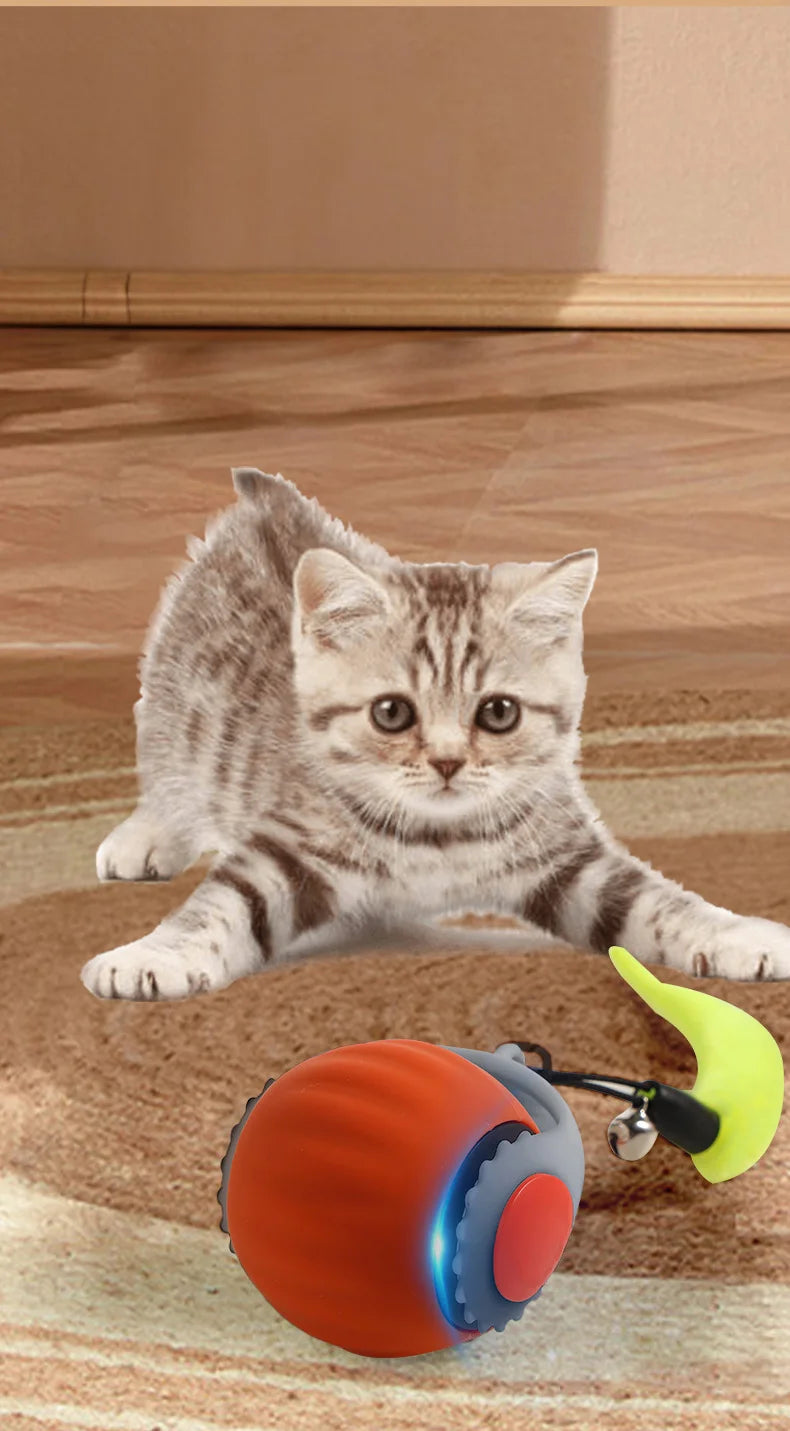 Cat Interactive Ball Toys Automatic Rolling Ball Faux Tail