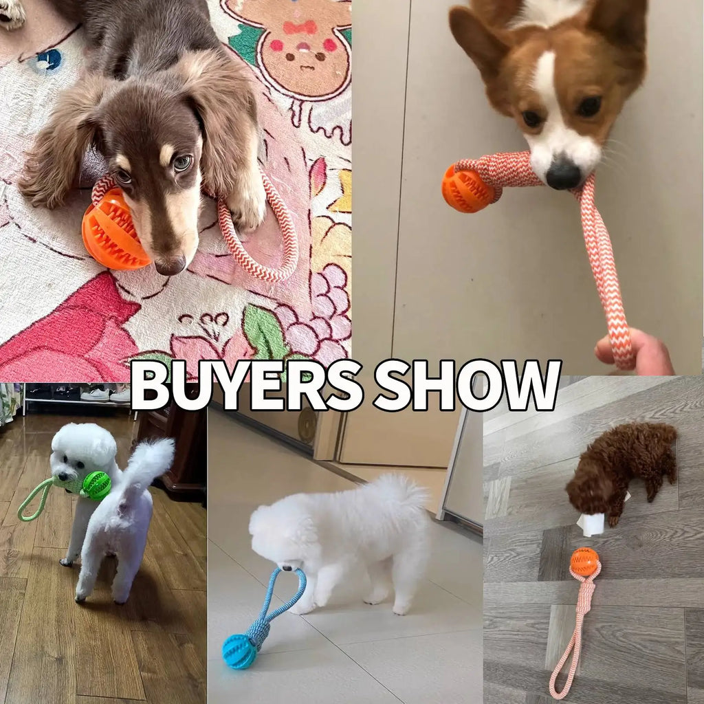 Dog Bite-Resistant Cotton Rope Treat Ball