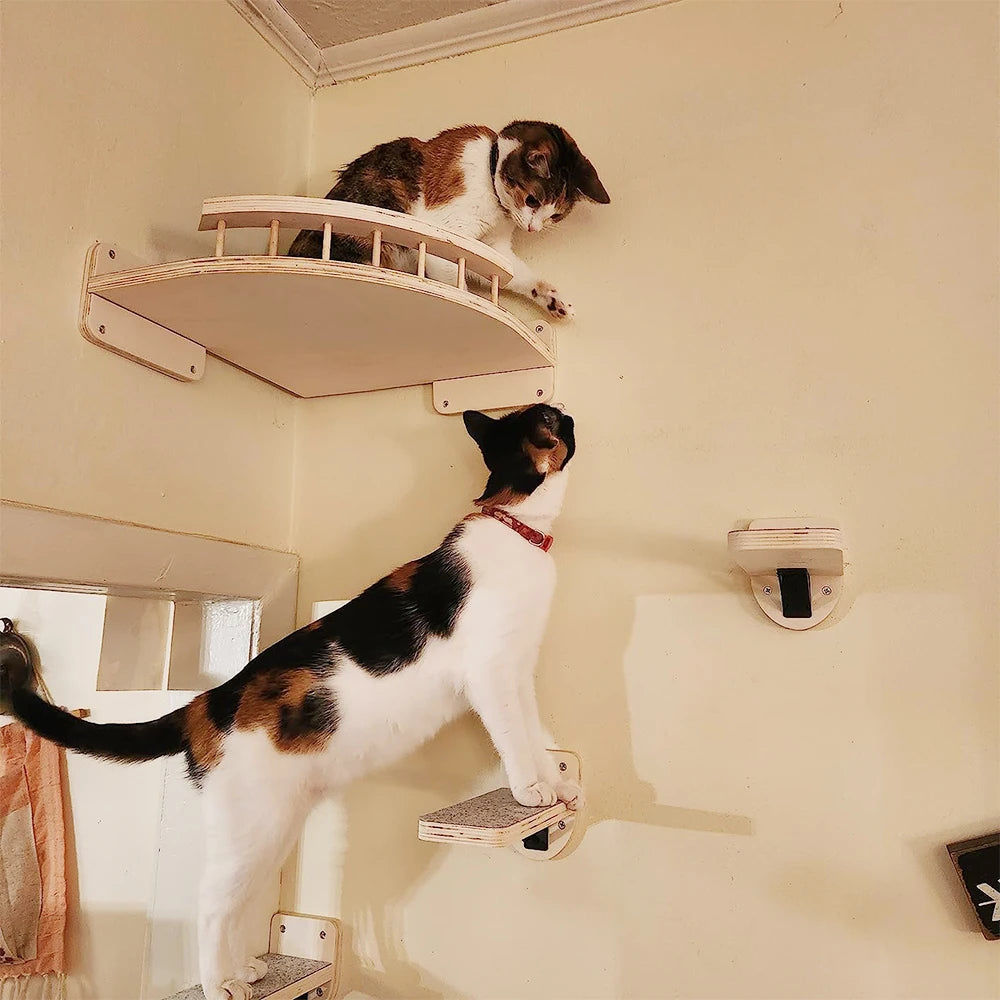 Diy Cat Wall Climbing Shelves Hammock Scratching Post Scratcher