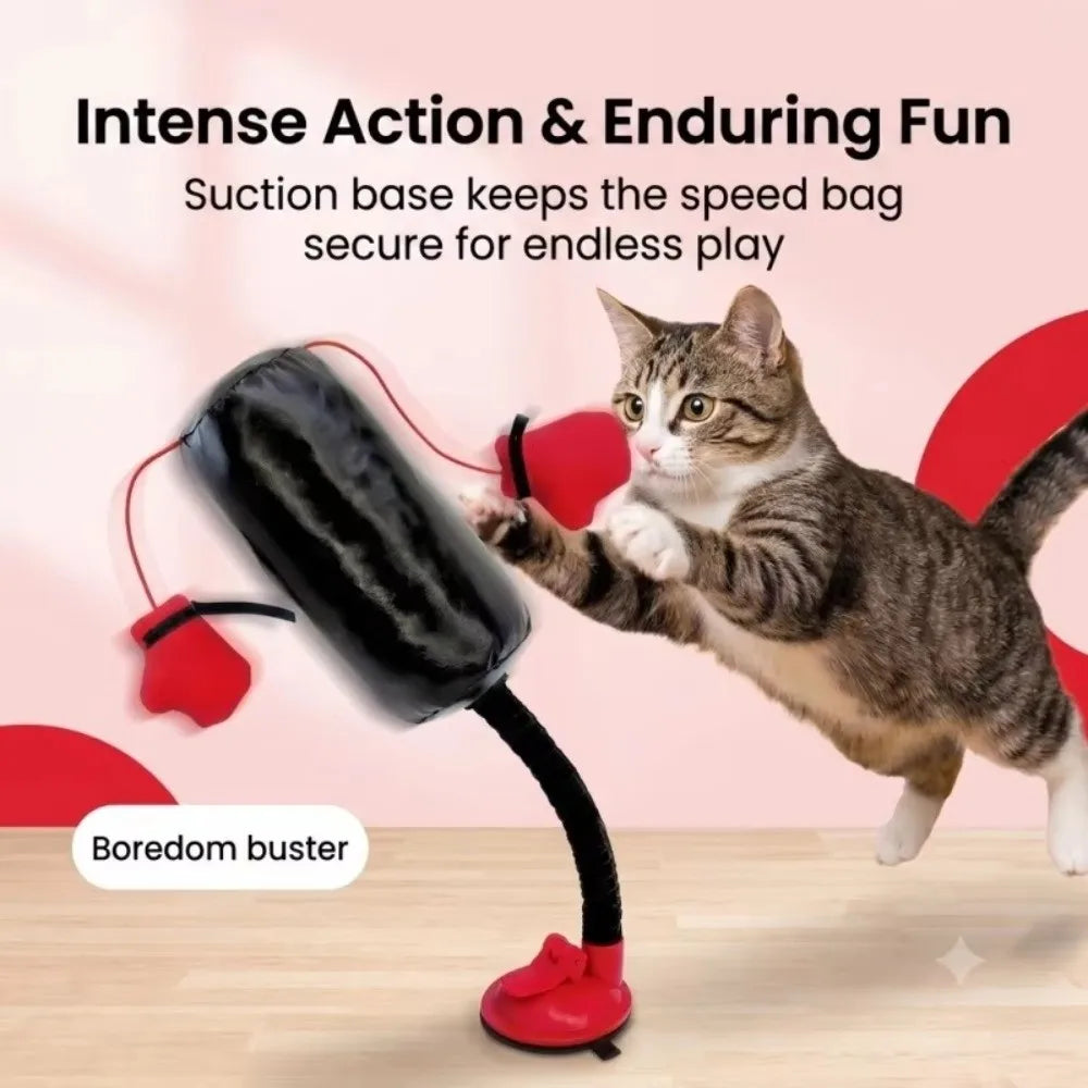 Suction Cup Base Cat Boxing Toy Self-Standing Spring Loaded Pet