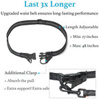 Adjustable Hands-Free Bungee Dog Leash