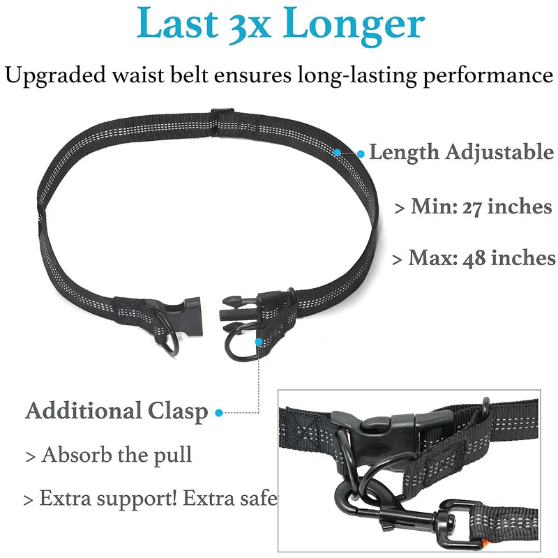Adjustable Hands-Free Bungee Dog Leash