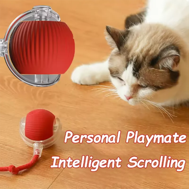 Hot Cat Toys Are Automatically Teasing Cat Balls and Self-Exciting