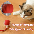 Hot Cat Toys Are Automatically Teasing Cat Balls and Self-Exciting