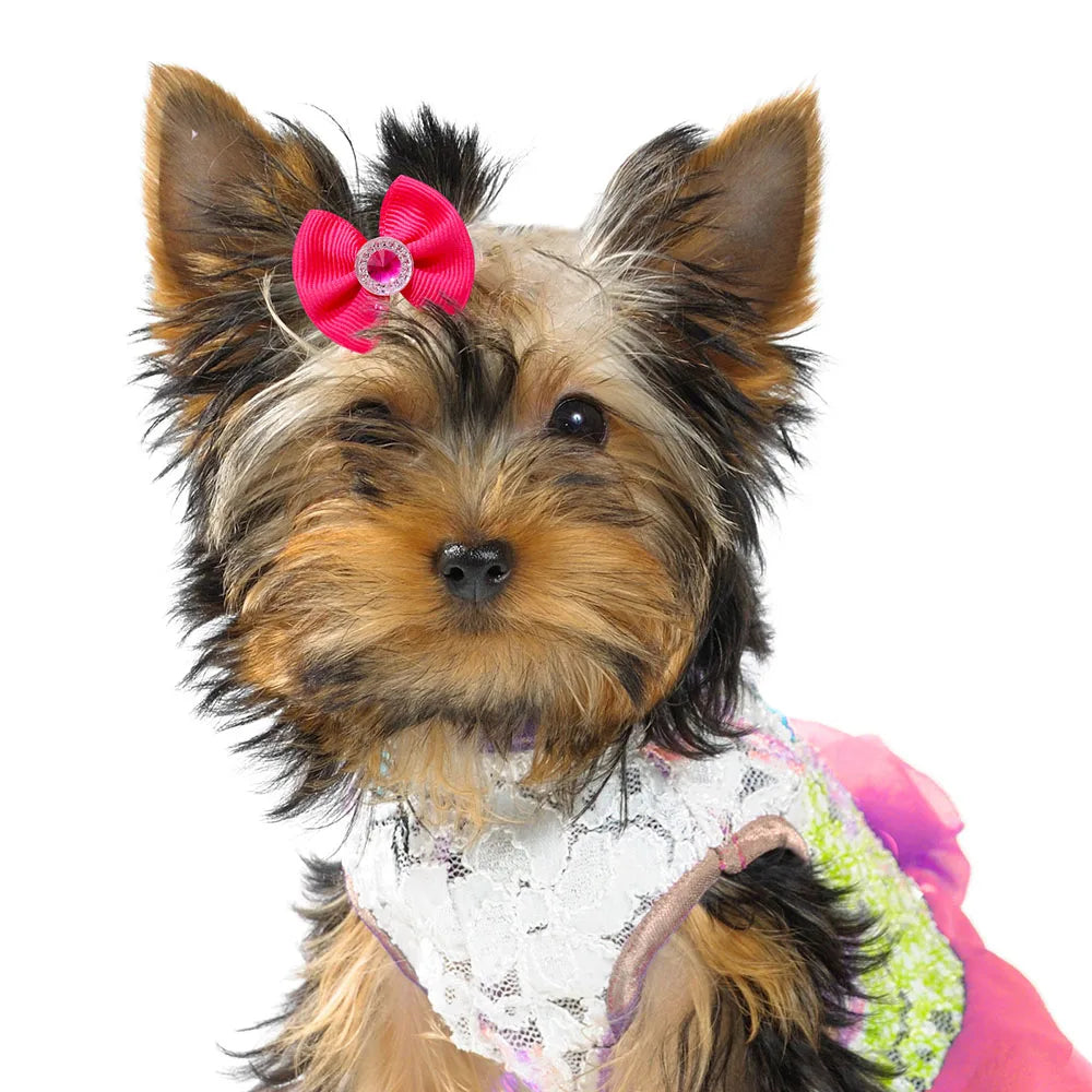 Dog Grooming Hair Bows Dog Bows Mix Colours Small