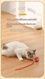Smart Dog Toy Ball Electronic Interactive Pet Toy Moving Ball USB