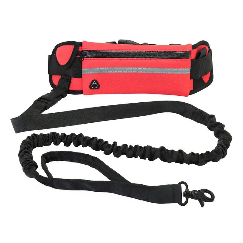 Adjustable Hands-Free Bungee Dog Leash