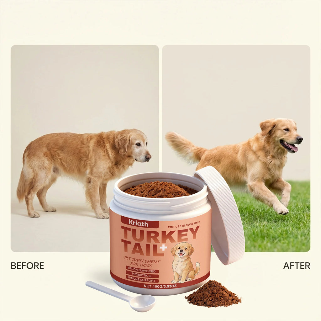 Dog Nutrition Health Supplement Powder Improve Pet Vitality Balance Intestinal Flora Skin Coat Wellness Boost Body Defense 100g
