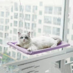 20Kg Capacity Cat Hammock with Rock Climbing Frame Comfortable