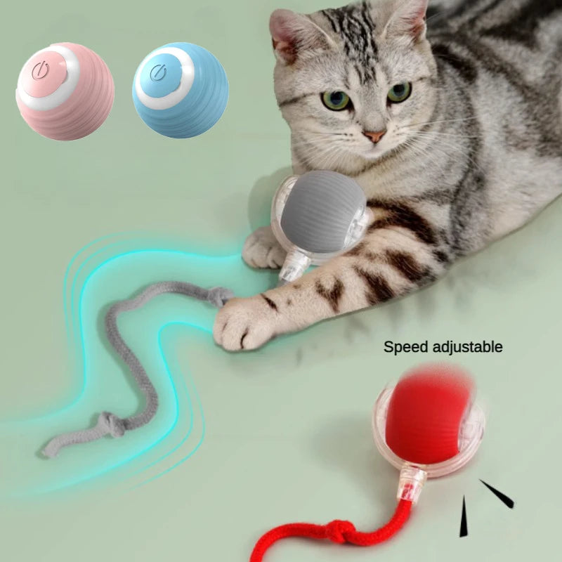 New Electric Cat Ball Toys Automatic Rolling Ball with Teaser Bird