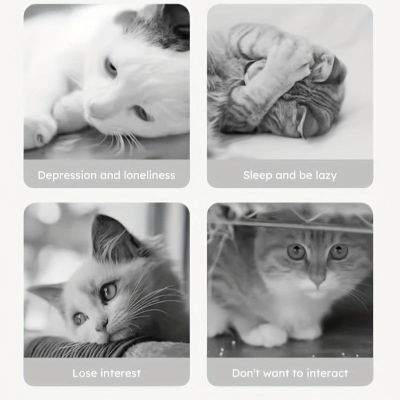 Interactive Chew Toy for Cats & Dogs