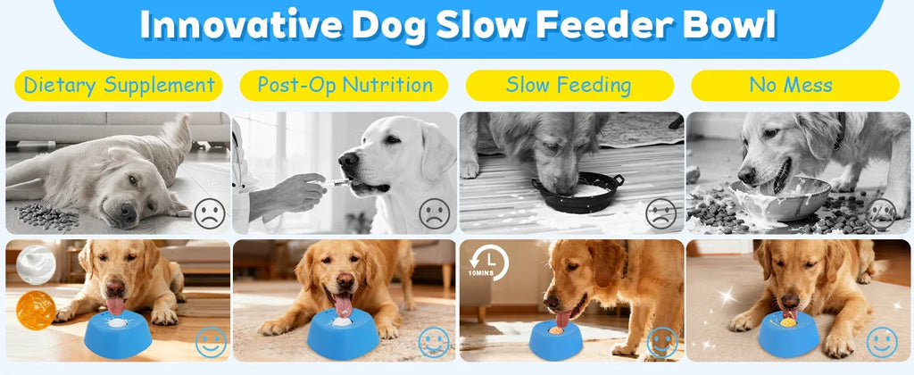 Anti-Choking Slow Feeder Dog Bowl Non-Slip 3/4 Cup - Lick Toy for