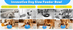 Anti-Choking Slow Feeder Dog Bowl Non-Slip 3/4 Cup - Lick Toy for