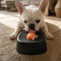 Pet Slow Licking Bowl for Dogs Cats Anti-Choking Dog Bowl Liquid