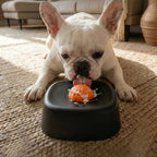 Pet Slow Licking Bowl for Dogs Cats Anti-Choking Dog Bowl Liquid