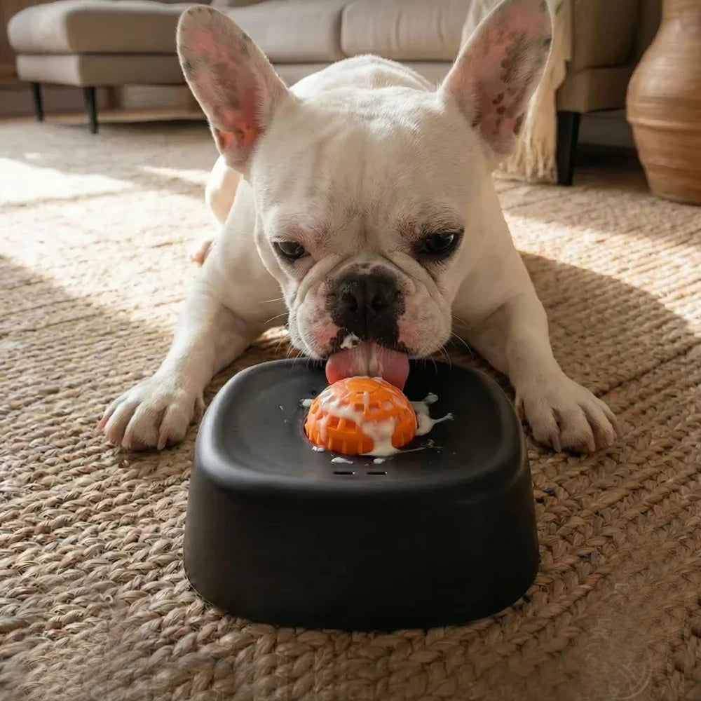 Pet Slow Licking Bowl for Dogs Cats Anti-Choking Dog Bowl Liquid