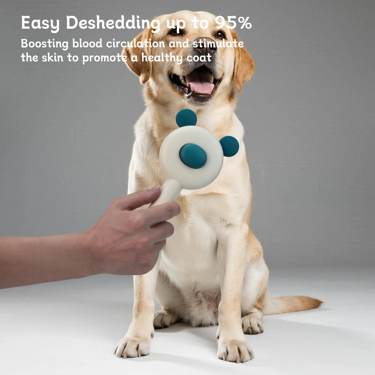 Oitabi Self Cleaning Slicker Brush - Skin Friendly Deshedding