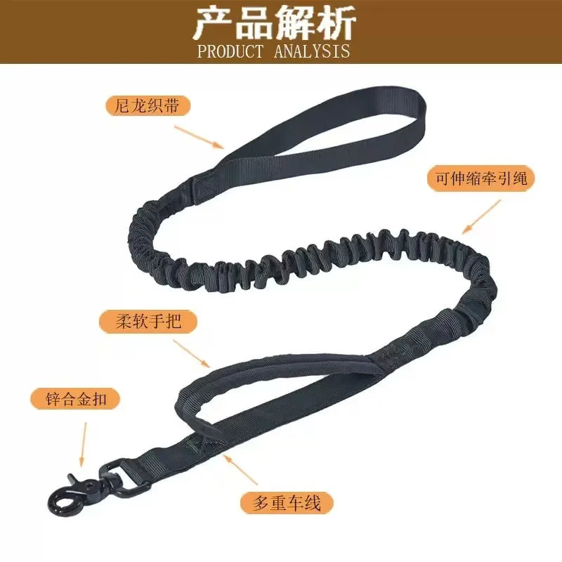 Adjustable Hands-Free Bungee Dog Leash