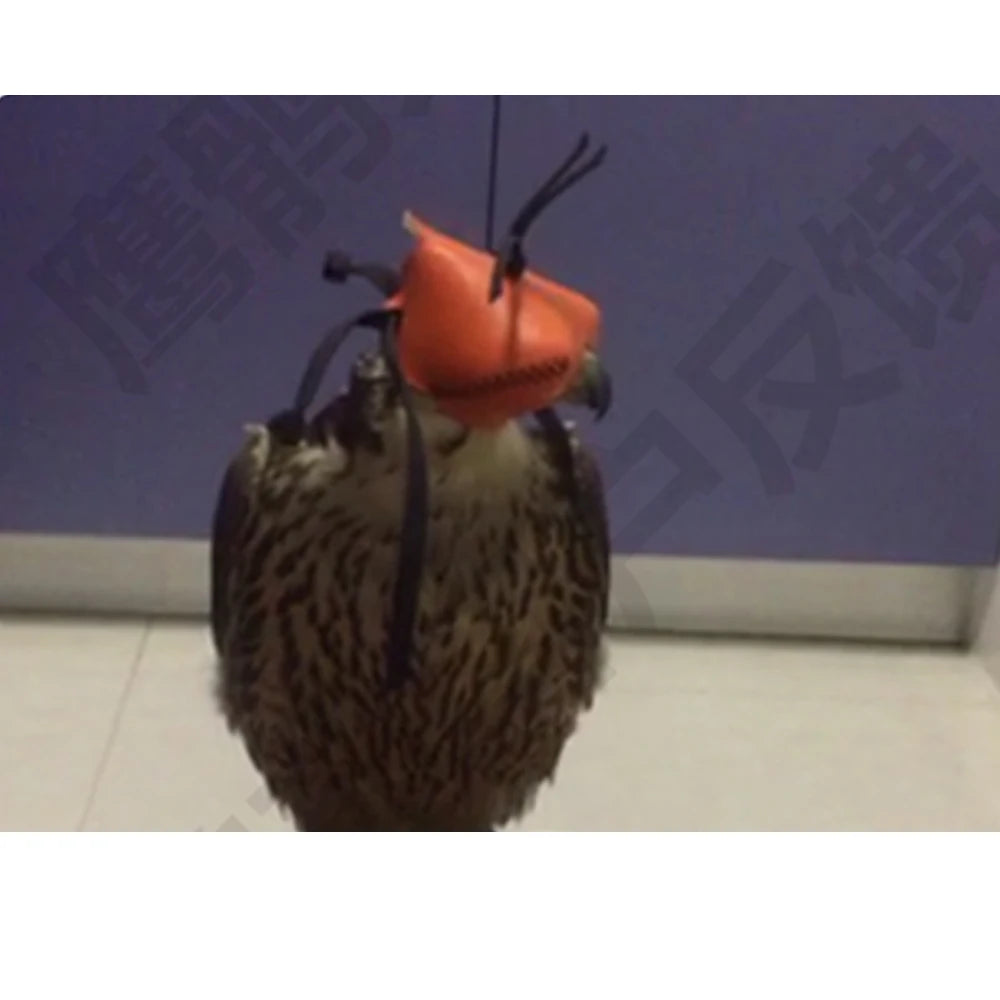 Falconry Eagle Hood Training Hat Falcon Eye Mask Protector Helmet