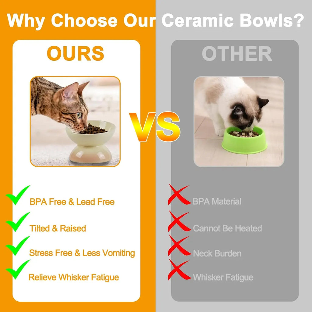 Ceramic Elevated Cat Bowls Tilted Cat Food Bowl Dish Pet Feeder